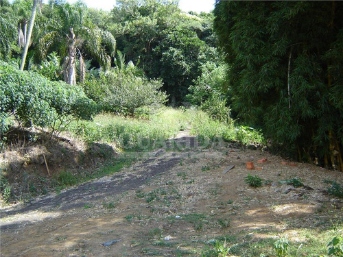 Imagem 8 de 15 de Chacara - Centro - Ref: 66034 - V-66034