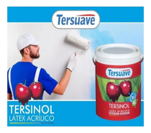 Látex Interior Exterior Tersinol Tersuave X 20 L