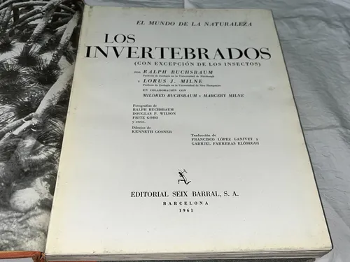 Los Invertebrados - Buchsbaum - Seix Barral