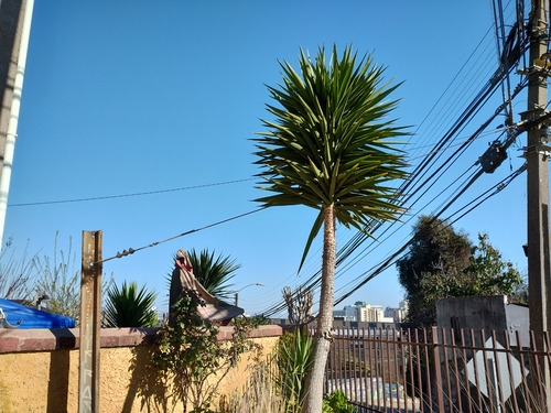 Crisol Linda Casa Cerca Laguna Sausalito