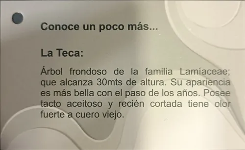 Silla Playera / Tumbona