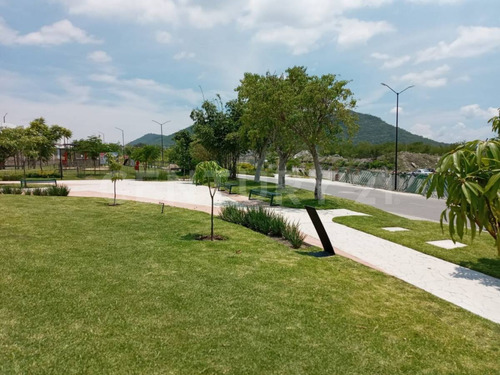 Casa En Renta En El Clima De La Eterna Primavera