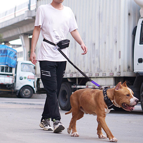 Cinturón Para Correr Para Perros Cinturón Para Pasear Perros