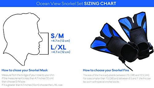 Imagen 5 de 6 de Conjunto De Máscara De Snorkel Con Vista Al Mar (negro, Gran