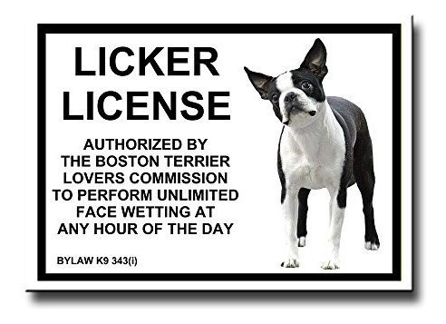 Boston Terrier Licker Licencia Imán.