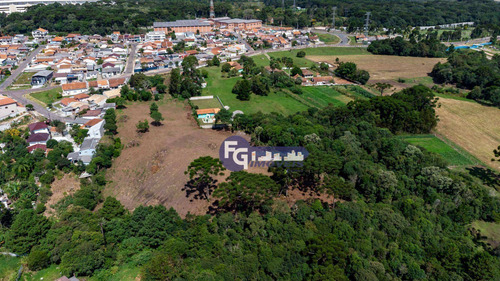 Imagem 13 de 30 de Terreno À Venda, 17538 M² Por R$ 3.500.000,00 - Guatupê - São José Dos Pinhais/pr - Te0074