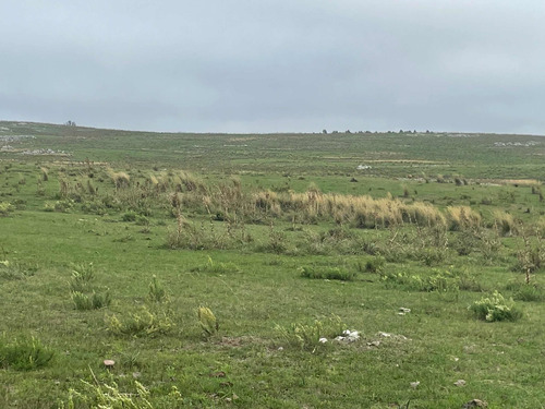 Imagen 10 de 21 de 270 Hectareas Ganaderas A 28 Km De Minas 3300 Dólares La Hec