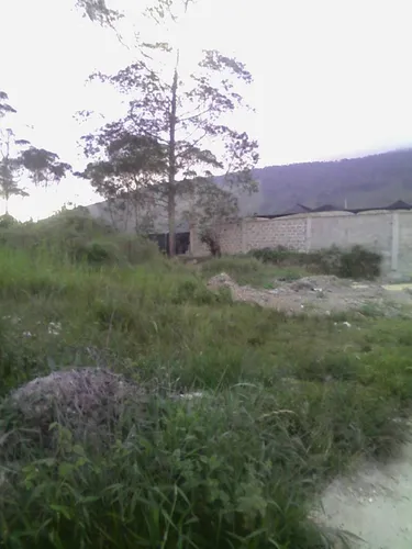 Terreno Sector Alto Fogón