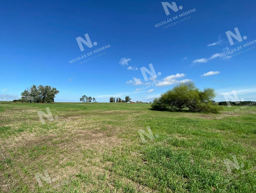 Imagen 8 de 15 de Venta Campo En Maldonado - Maldonado