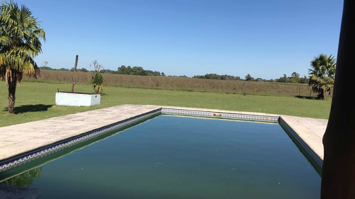 Imagen 4 de 17 de Campo 33 Has. Chacra. Excelente Chalet. Casa Quinta. Riestra. Roque Perez