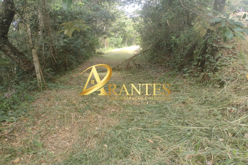 Imagem 12 de 14 de Terreno - Te00068 - 70716178