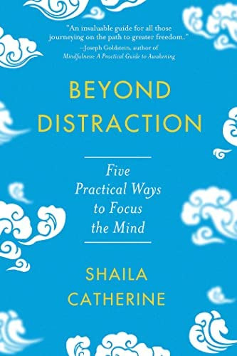 Beyond Distraction: Five Practical Ways To Focus The Mind, De Catherine, Shaila. Editorial Oem, Tapa Blanda En Inglés