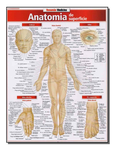 Libro Resumao Anatomia De Superficie De Perez Vincent Resum