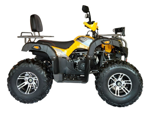 Imagen 10 de 17 de Cuatrimoto Mikilon Thunder 200 Deluxe