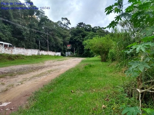 Imagem 9 de 22 de Terreno - Te00049 - 69287773