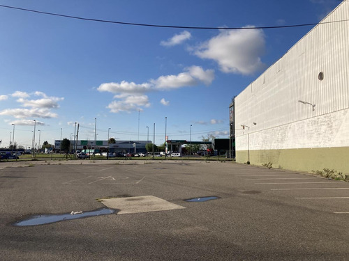Imagen 20 de 27 de Depósito 6.000m2 - Rosario
