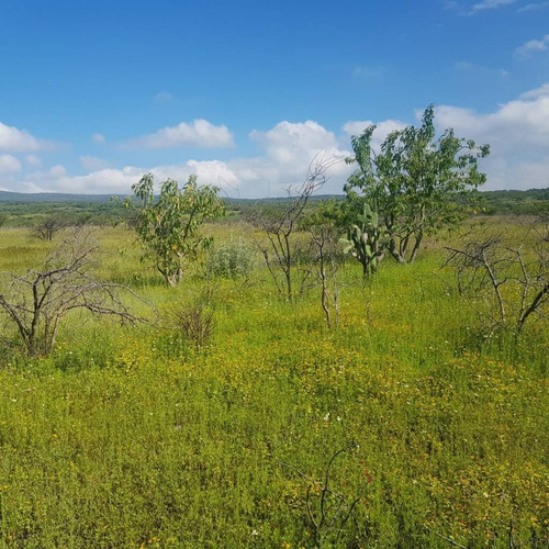 Terreno En Venta En Ojo Seco, Junto A Campus Industrial Celaya, Celaya, Guanajuato