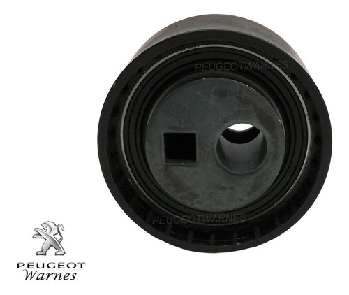 Distribucion + Bomba Dolz + Poly V Citroen Picasso 2.0 Hdi