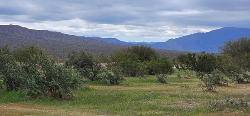 Venta Campo De 7.100 Has En Talacasto, Ullum