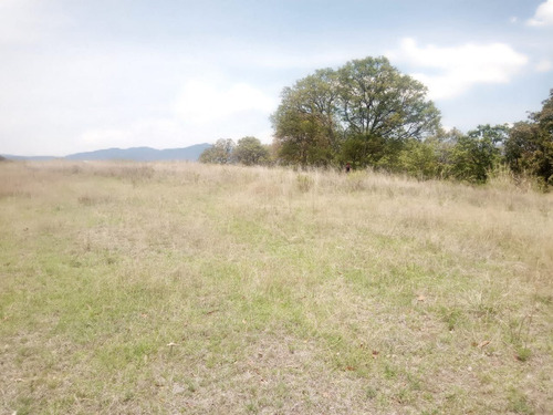 Imagen 6 de 12 de Venta De Terreno En El Palomar, Villa Del Carbón