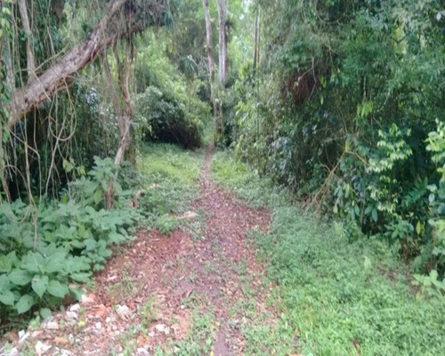 Imagem 11 de 26 de Chácara À Venda Em Juquitiba. - 315 - 32982813