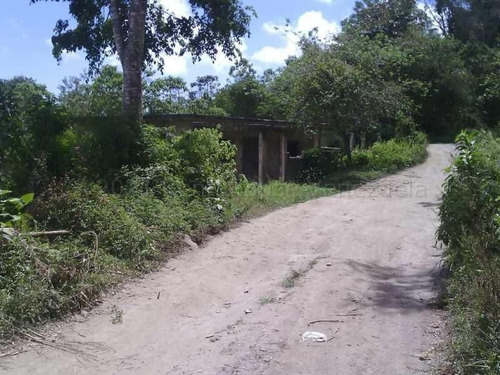 Imagen 14 de 15 de Ls Vende Terreno El Junquito Via Carayaca 23-8873