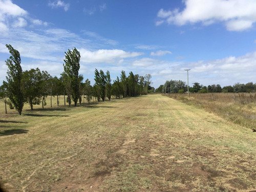Tapalque: 1 Hectarea En Venta (frente Termas)