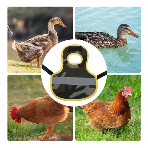 Arnés De Pollo Chaleco Reflectante Para Mascotas Ropa De Pol