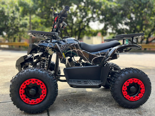 Cuatrimoto A Gasolina Para Niños 50cc