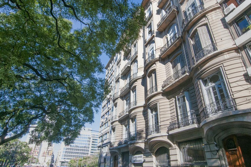 Imagen 18 de 24 de Piso Único De 10 Ambientes Estilo Francés En Plaza Libertad - Retiro