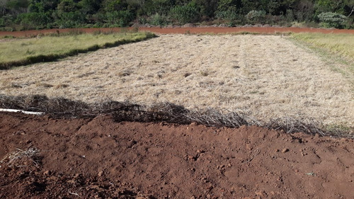 Imagem 3 de 8 de Residencial Eldorado Loteamento Lotes A Partir De 1000m2 - Te00051 - 68151802