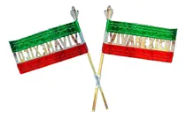 Comprar Papel Picado Banderita Metalica Fiestas Patrias, Paq 10 Pz