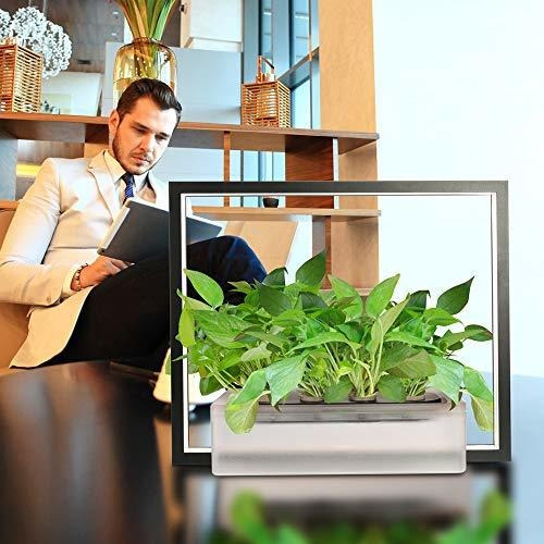 Imagen 4 de 4 de Cultivo Hidroponico Apoyo Para Hierba Jardin Kit Crece Tu
