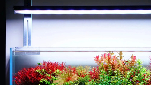 Luminária De Led At5s 580s Full Spectrum Netlea 80cm Luzes Rgb 127/220V