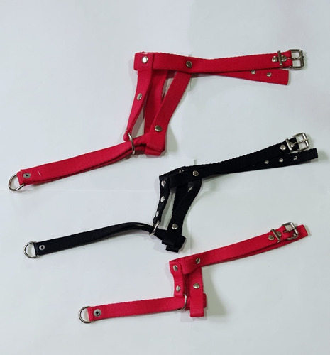 Imagen 2 de 3 de Collar Bozal Halti Anti Tirones