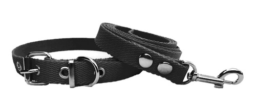 Conj Collar Y Correa 3cm Para Perro Mediano Grande Ancho