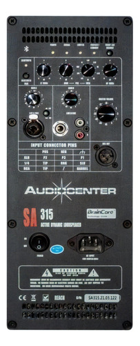 Bafle Audiocenter Sa315 1000w Rms Con Bluetooth 120v