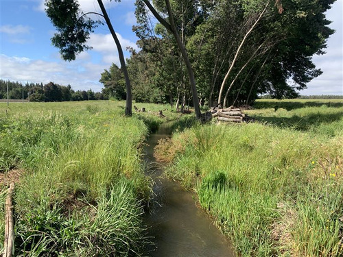 Venta De Hermoso Campo Agricola Cerca Mulchen Orilla Ruta5 