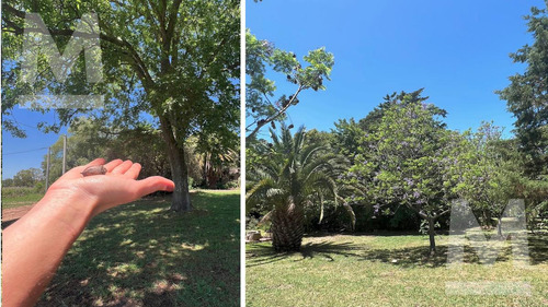 Lote En Venta En Villa Elvira