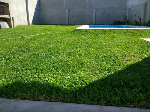 Imagen 6 de 8 de Semillas Grama Bermuda Grass, Gramilla 4 Estaciones X 1 Kg