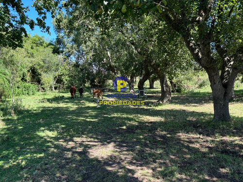 14 Hectáreas En Canelones