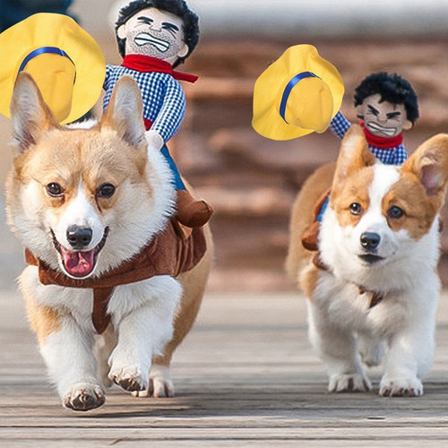 Perro Equitación Vaquero Traje Estilo Jinete Diseño Vestido