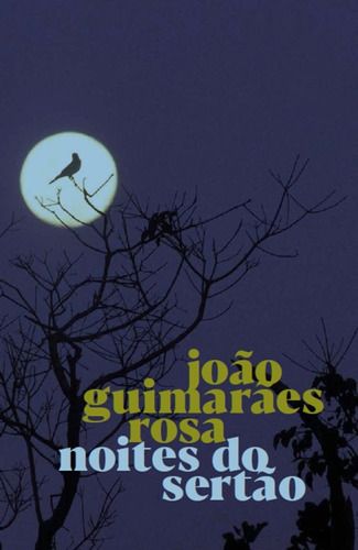 Noites do Sertão, de Rosa, João Guimarães. Série João Guimarães Rosa Editora Grupo Editorial Global, capa mole em português, 2021