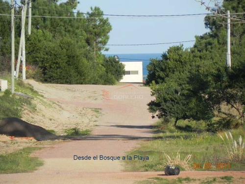 Imagen 13 de 26 de Terreno En Venta En Rocha, Zona De Punta Del Diablo, Bosque De La Viuda
