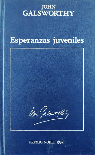Esperanzas Juveniles - John Galsworthy (Usado)