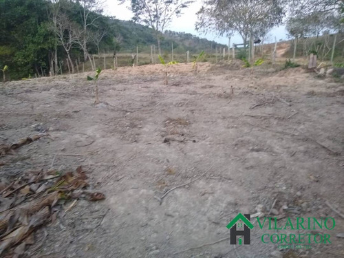 Imagem 11 de 13 de Sítios Fazendas E Terrenos Em Bom Jesus Do Amparo - 2801