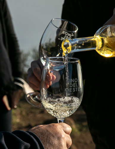 Vino Blanco Juego De Pelota Edición Especial Sauvignon Blanc