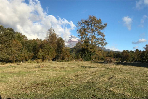 Venta Campo 10 Hectareas Pucon Sector Candelaria.