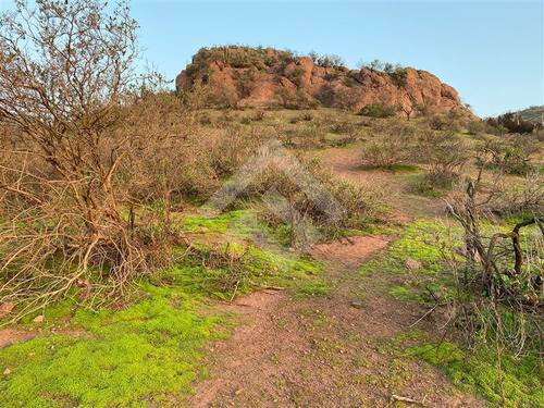 Terreno Para Construcción En Venta, Colina