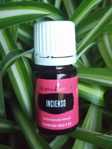 Aceite Esencial Incienso 5ml Young Living +roll On+ Frasco